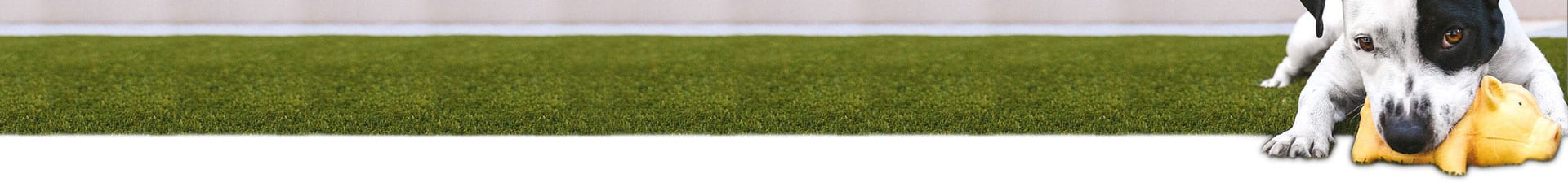 Residential Artificial Grass - Always Green Synthetic Grass, INC.🥇