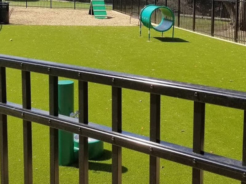 artificial grass dog park installer