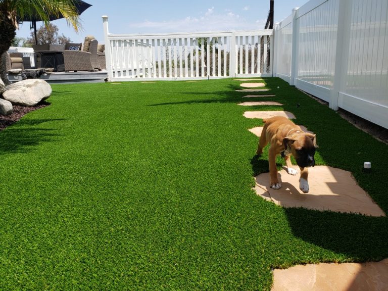 Pet Turf Installation - Always Green Synthetic Grass, INC.🥇 Artificial ...